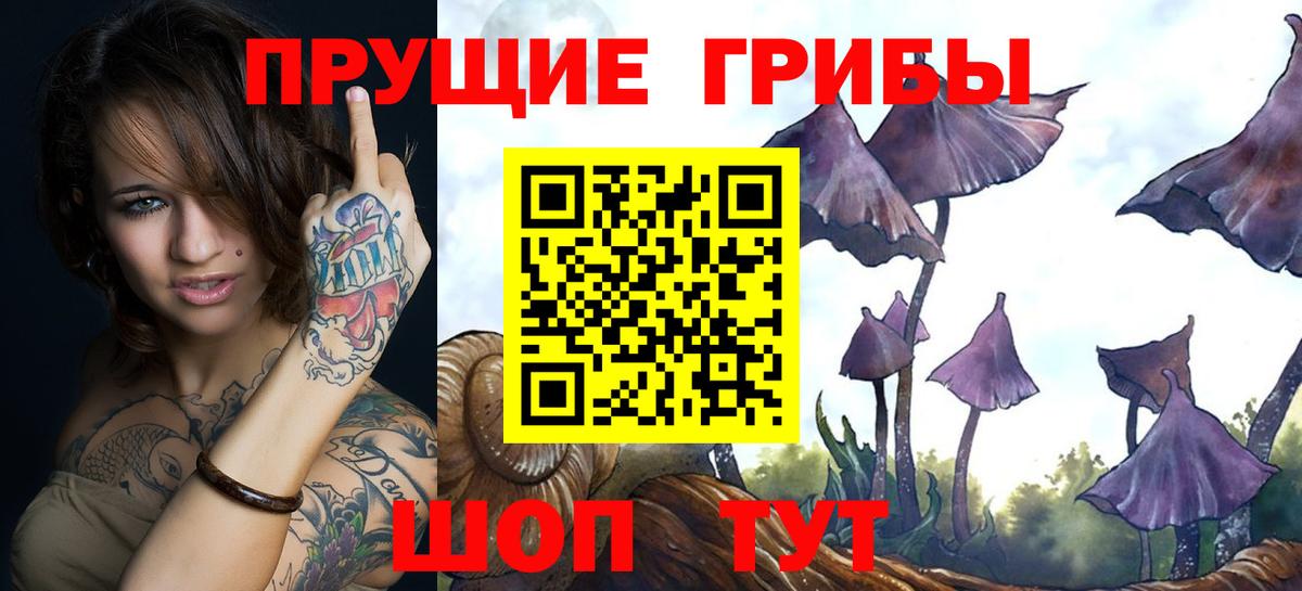 Псилоцибиновые грибы мухоморы  наркотики  Галлюциногенные грибы Psilocybine cubensis  Брянск  Вход с VPN 